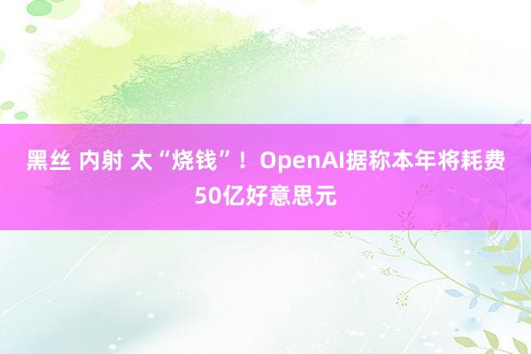 黑丝 内射 太“烧钱”！OpenAI据称本年将耗费50亿好意思元