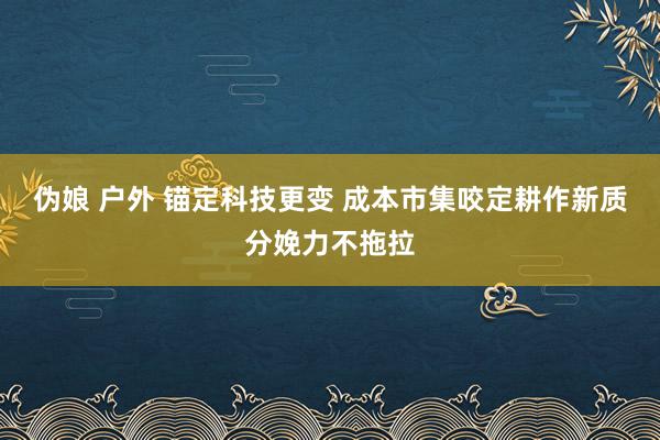 伪娘 户外 锚定科技更变 成本市集咬定耕作新质分娩力不拖拉