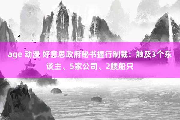 age 动漫 好意思政府秘书握行制裁：触及3个东谈主、5家公司、2艘船只