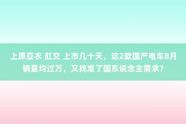 上原亞衣 肛交 上市几十天，这2款国产电车8月销量均过万，又找准了国东说念主需求？