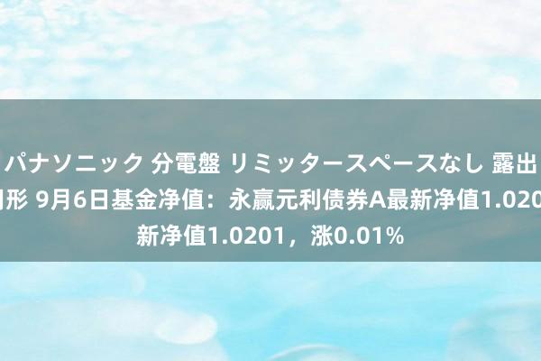 パナソニック 分電盤 リミッタースペースなし 露出・半埋込両用形 9月6日基金净值：永赢元利债券A最新净值1.0201，涨0.01%