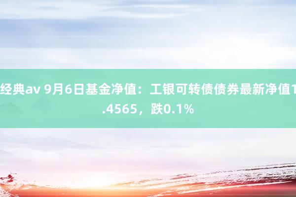 经典av 9月6日基金净值：工银可转债债券最新净值1.4565，跌0.1%