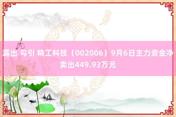 露出 勾引 精工科技（002006）9月6日主力资金净卖出449.93万元