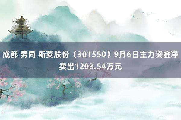 成都 男同 斯菱股份（301550）9月6日主力资金净卖出1203.54万元