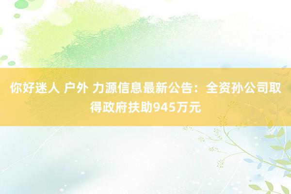 你好迷人 户外 力源信息最新公告：全资孙公司取得政府扶助945万元