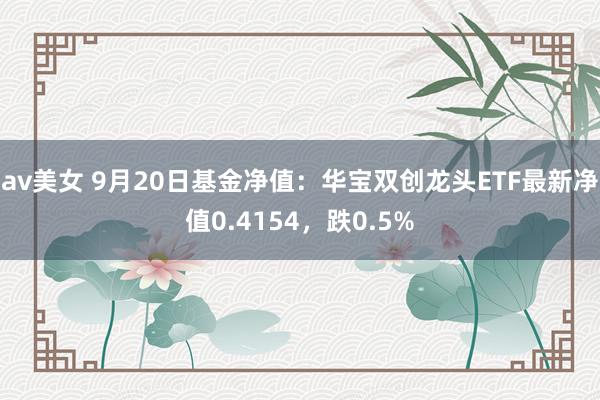 av美女 9月20日基金净值：华宝双创龙头ETF最新净值0.4154，跌0.5%