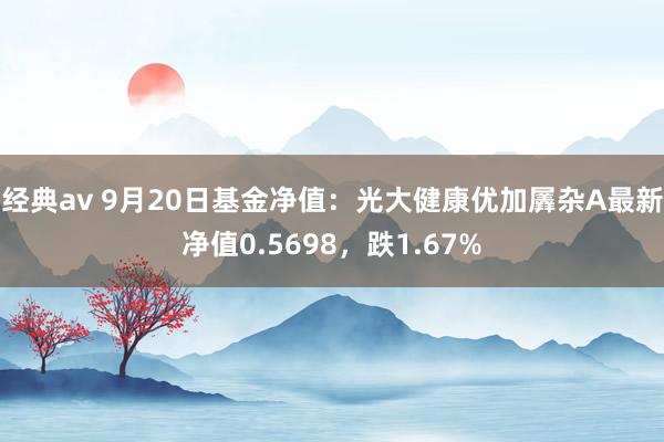 经典av 9月20日基金净值：光大健康优加羼杂A最新净值0.5698，跌1.67%