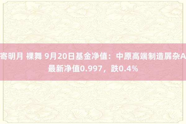 寄明月 裸舞 9月20日基金净值：中原高端制造羼杂A最新净值0.997，跌0.4%