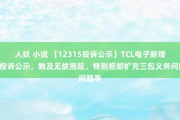 人妖 小说 【12315投诉公示】TCL电子新增6件投诉公示，触及无故拖延、特别拒却扩充三包义务问题等