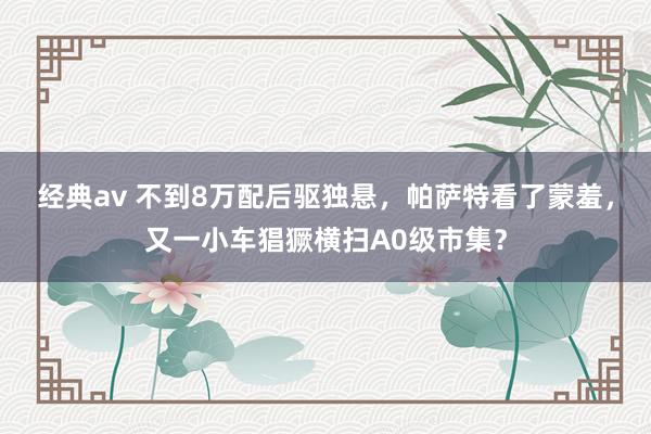 经典av 不到8万配后驱独悬，帕萨特看了蒙羞，又一小车猖獗横扫A0级市集？