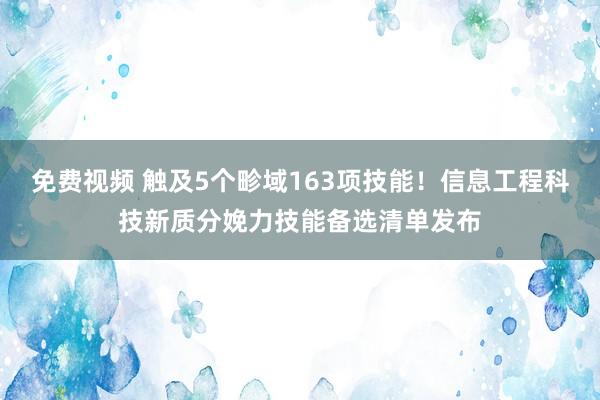 免费视频 触及5个畛域163项技能！信息工程科技新质分娩力技能备选清单发布