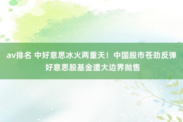 av排名 中好意思冰火两重天！中国股市苍劲反弹 好意思股基金遭大边界抛售