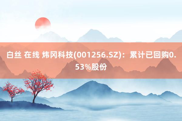 白丝 在线 炜冈科技(001256.SZ)：累计已回购0.53%股份