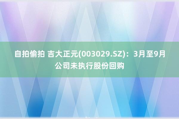 自拍偷拍 吉大正元(003029.SZ)：3月至9月公司未执行股份回购