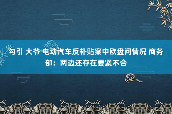 勾引 大爷 电动汽车反补贴案中欧盘问情况 商务部：两边还存在要紧不合