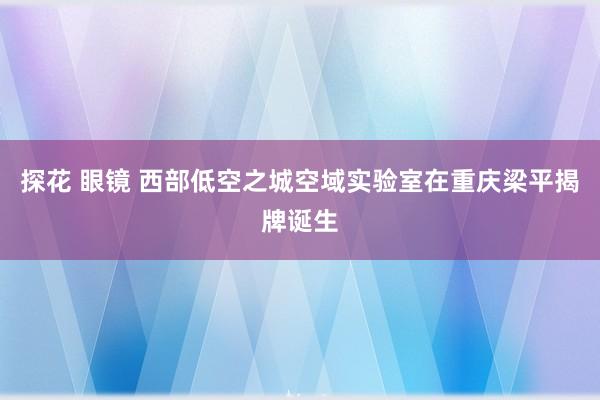 探花 眼镜 西部低空之城空域实验室在重庆梁平揭牌诞生