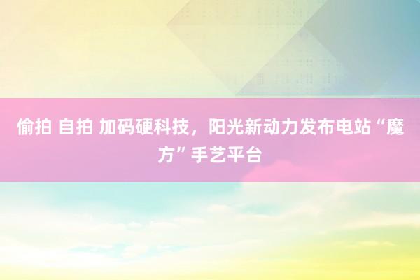 偷拍 自拍 加码硬科技，阳光新动力发布电站“魔方”手艺平台