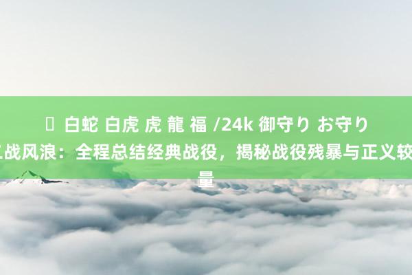 ✨白蛇 白虎 虎 龍 福 /24k 御守り お守り 二战风浪：全程总结经典战役，揭秘战役残暴与正义较量