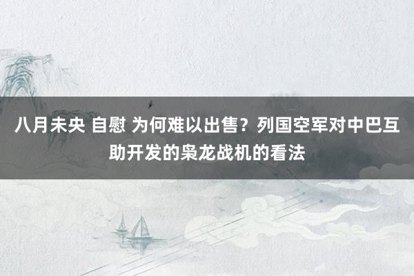 八月未央 自慰 为何难以出售？列国空军对中巴互助开发的枭龙战机的看法