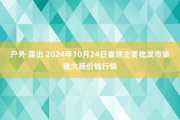 户外 露出 2024年10月24日寰球主要批发市集猪大肠价钱行情