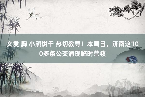 文爱 胸 小熊饼干 热切教导！本周日，济南这100多条公交涌现临时营救