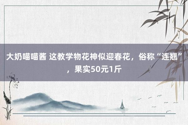 大奶喵喵酱 这教学物花神似迎春花，俗称“连翘”，果实50元1斤