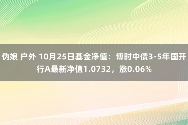 伪娘 户外 10月25日基金净值：博时中债3-5年国开行A最新净值1.0732，涨0.06%