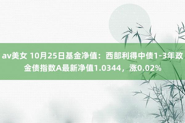 av美女 10月25日基金净值：西部利得中债1-3年政金债指数A最新净值1.0344，涨0.02%