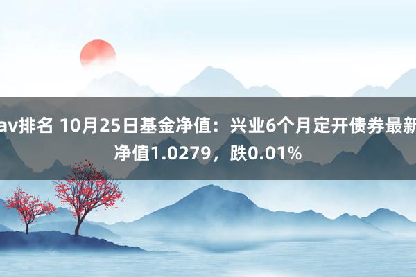 av排名 10月25日基金净值：兴业6个月定开债券最新净值1.0279，跌0.01%