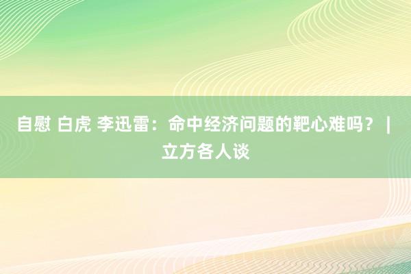 自慰 白虎 李迅雷：命中经济问题的靶心难吗？ | 立方各人谈