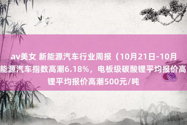 av美女 新能源汽车行业周报（10月21日-10月25日）：新能源汽车指数高潮6.18%，电板级碳酸锂平均报价高潮500元/吨