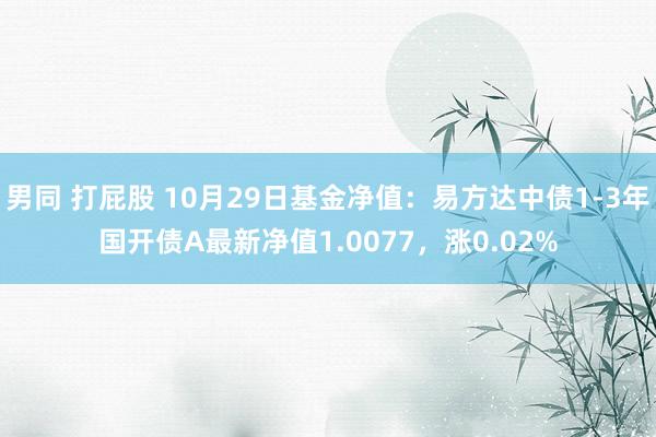 男同 打屁股 10月29日基金净值：易方达中债1-3年国开债A最新净值1.0077，涨0.02%