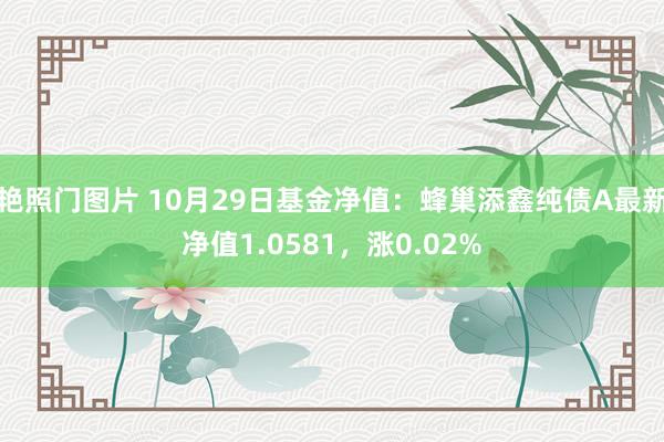 艳照门图片 10月29日基金净值：蜂巢添鑫纯债A最新净值1.0581，涨0.02%