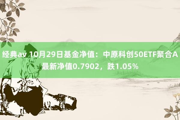 经典av 10月29日基金净值：中原科创50ETF聚合A最新净值0.7902，跌1.05%