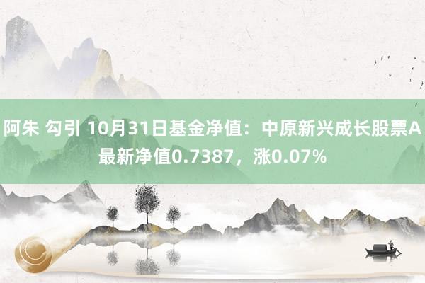 阿朱 勾引 10月31日基金净值：中原新兴成长股票A最新净值0.7387，涨0.07%