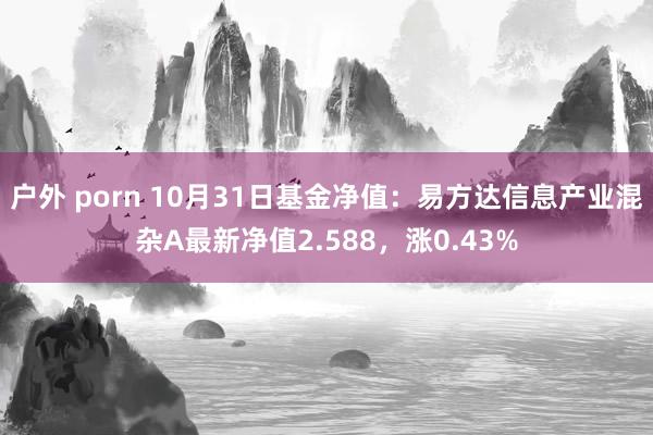 户外 porn 10月31日基金净值：易方达信息产业混杂A最新净值2.588，涨0.43%