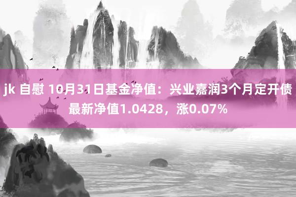 jk 自慰 10月31日基金净值：兴业嘉润3个月定开债最新净值1.0428，涨0.07%