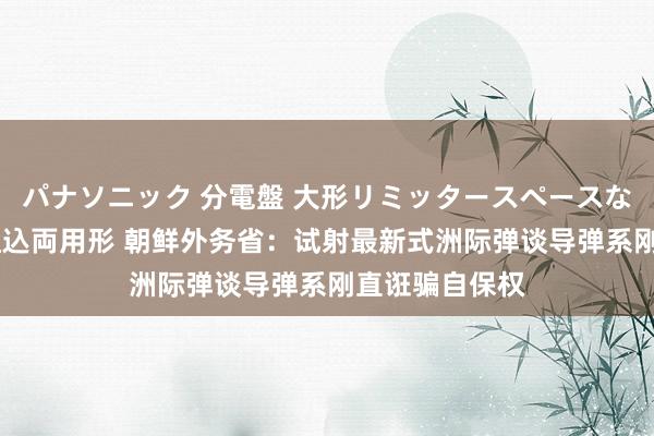 パナソニック 分電盤 大形リミッタースペースなし 露出・半埋込両用形 朝鲜外务省：试射最新式洲际弹谈导弹系刚直诳骗自保权