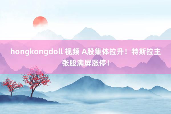 hongkongdoll 视频 A股集体拉升！特斯拉主张股满屏涨停！