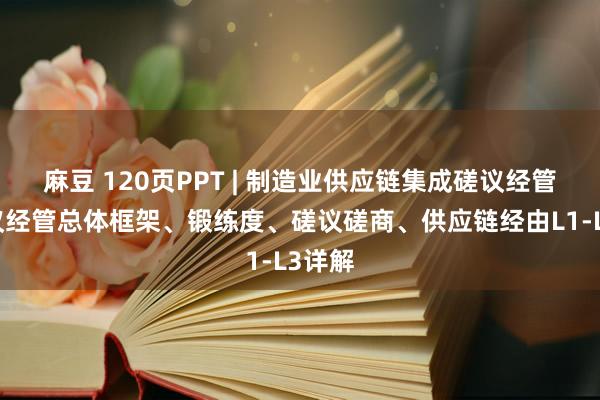 麻豆 120页PPT | 制造业供应链集成磋议经管：磋议经管总体框架、锻练度、磋议磋商、供应链经由L1-L3详解