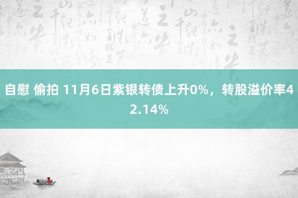 自慰 偷拍 11月6日紫银转债上升0%，转股溢价率42.14%