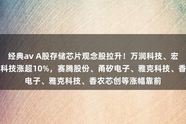 经典av A股存储芯片观念股拉升！万润科技、宏昌电子涨停，国芯科技涨超10%，赛腾股份、甬矽电子、雅克科技、香农芯创等涨幅靠前