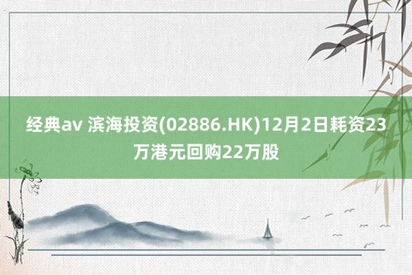 经典av 滨海投资(02886.HK)12月2日耗资23万港元回购22万股