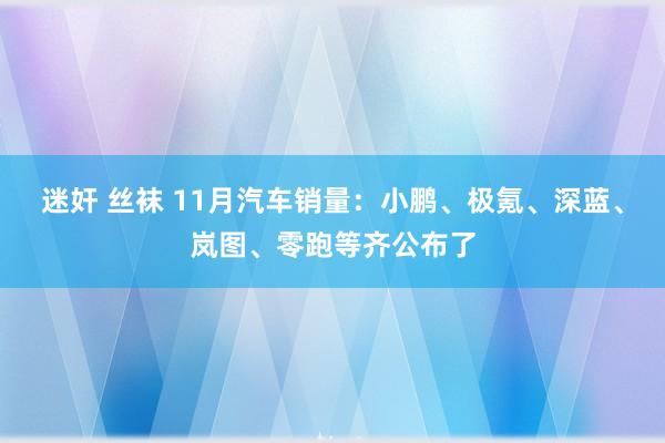 迷奸 丝袜 11月汽车销量：小鹏、极氪、深蓝、岚图、零跑等齐公布了