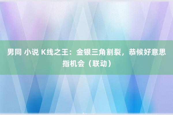 男同 小说 K线之王：金银三角割裂，恭候好意思指机会（联动）