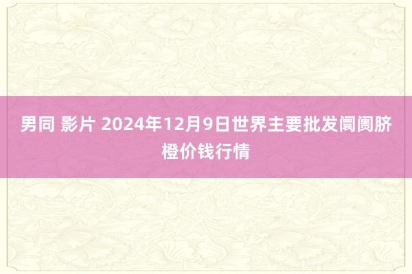 男同 影片 2024年12月9日世界主要批发阛阓脐橙价钱行情