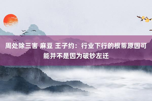 周处除三害 麻豆 王子约：行业下行的根蒂原因可能并不是因为破钞左迁