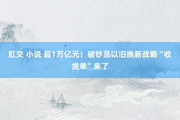 肛交 小说 超1万亿元！破钞品以旧换新战略“收货单”来了