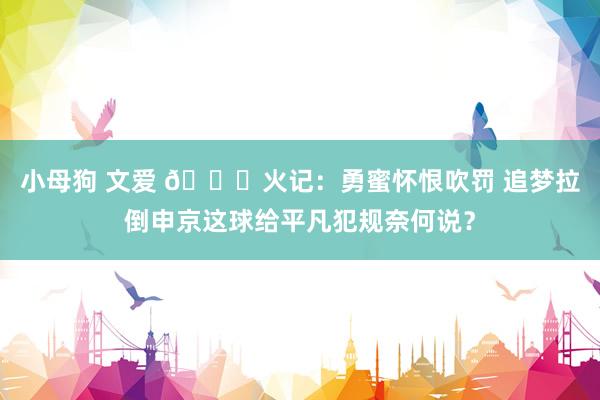 小母狗 文爱 👀火记：勇蜜怀恨吹罚 追梦拉倒申京这球给平凡犯规奈何说？