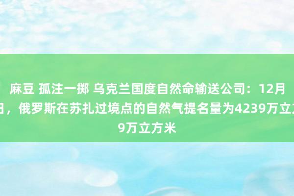 麻豆 孤注一掷 乌克兰国度自然命输送公司：12月14日，俄罗斯在苏扎过境点的自然气提名量为4239万立方米